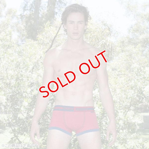 画像8: 【クルータ】ESTABLISHED ローライズボクサーパンツ (8)