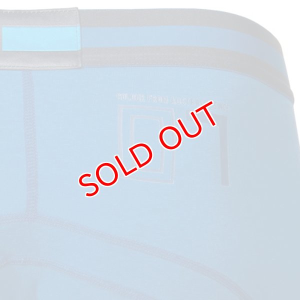 画像10: 【クルータ】ESTABLISHED ローライズボクサーパンツ (10)