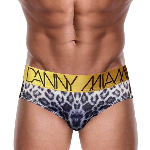 画像5: 【ダニーマイアミ】Feline ビキニブリーフ (5)