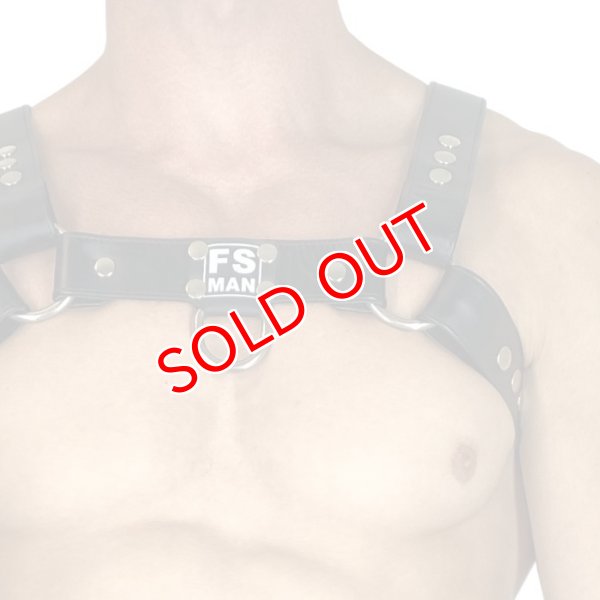 画像4: FS Man【エフエスマン】男性用本革ハーネス Bulldog Black メンズ レザーボンテージ パーティ Gogo Fetish衣装 (4)