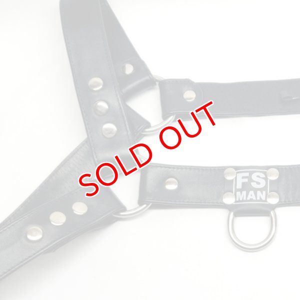 画像5: FS Man【エフエスマン】男性用本革ハーネス Bulldog Black メンズ レザーボンテージ パーティ Gogo Fetish衣装 (5)