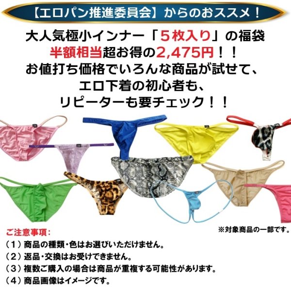 画像2: 【福袋】メンズ極小下着 5枚セット (メンズビキニ メンズTバックメンズハーフバックビキニ 男性下着) (2)