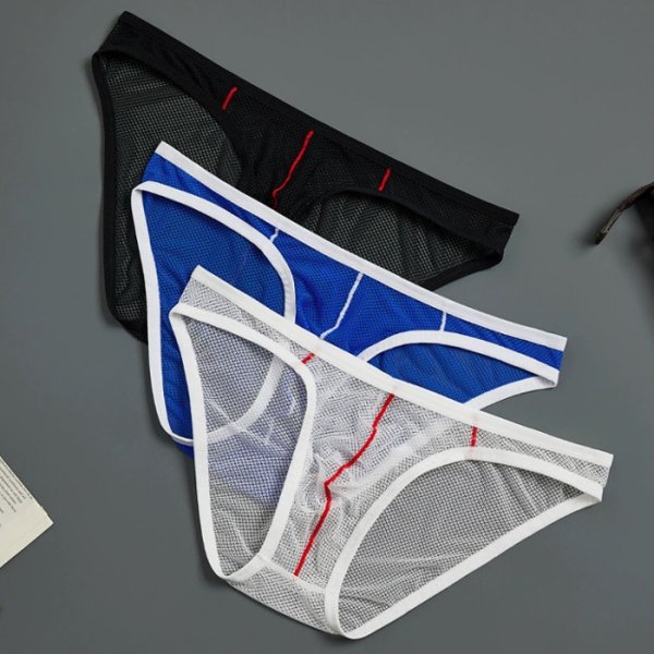画像8: GTOPX メンズビキニ メッシュ生地 シースルー 男性用ビキニ エロパン 男性下着 (8)