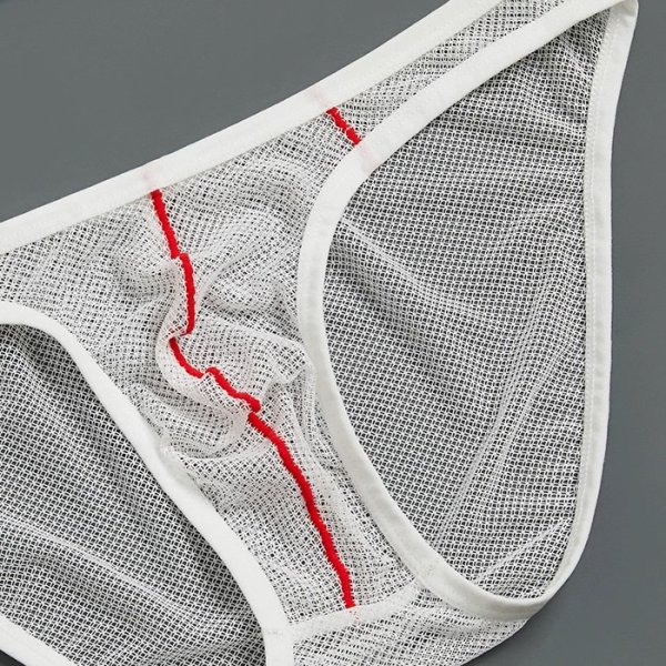 画像10: GTOPX メンズビキニ メッシュ生地 シースルー 男性用ビキニ エロパン 男性下着 (10)