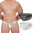 画像1: GTOPX メンズビキニ メッシュ生地 シースルー ウエストバンド男性用ビキニ エロパン 男性下着 (1)