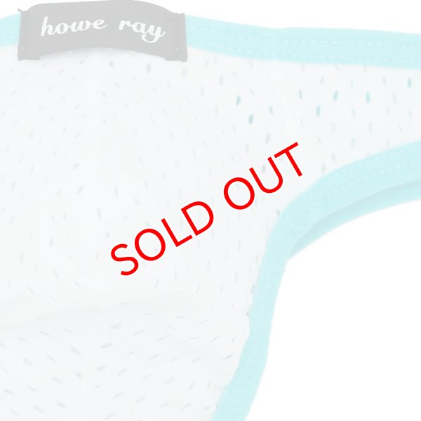 画像8: 【ハウレイ】メンズ ローライズ メッシュTバック (8)