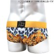 画像8: 【ダニーマイアミ】Leopard ビキニブリーフ (8)