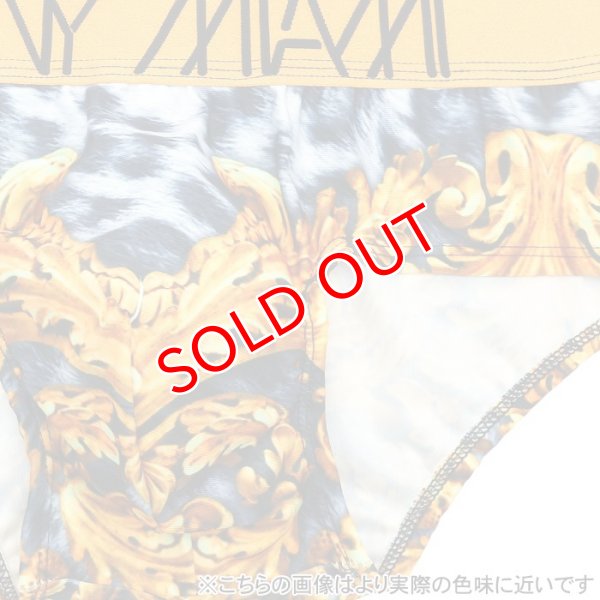 画像9: 【ダニーマイアミ】Leopard ビキニブリーフ (9)