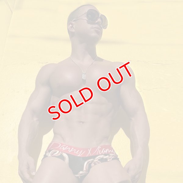 画像2: 【ダニーマイアミ】Links ビキニブリーフ (2)