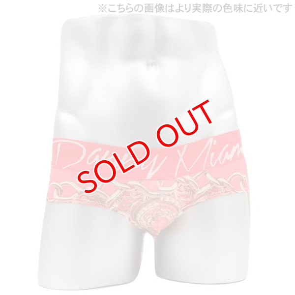 画像5: 【ダニーマイアミ】Lord Red ビキニブリーフ (5)