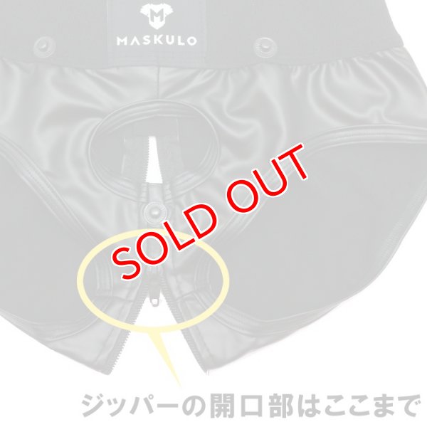 画像14: 【マスクロ】Armored Next. ジッパー付きブリーフ (14)