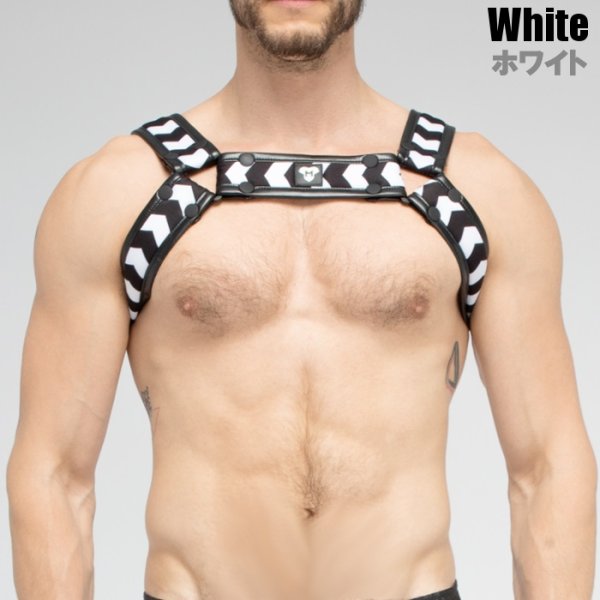 画像6: Maskulo【マスクロ】ハーネス メンズ レザー風 フェイクレザー ボンテージ パーティ Gogo 衣装 SKULLA (6)