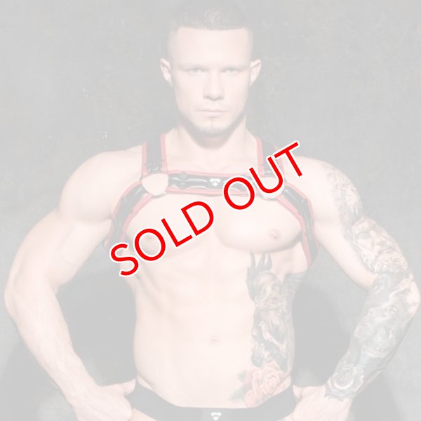 画像2: Maskulo【マスクロ】Armored Next ハーネス (2)