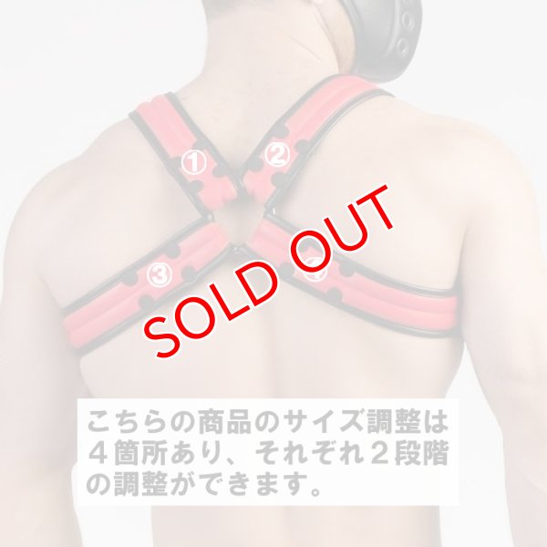 画像19: Maskulo【マスクロ】Armored Next ハーネス (19)