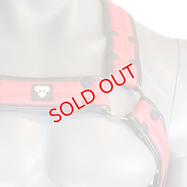 画像20: Maskulo【マスクロ】Armored Next ハーネス (20)