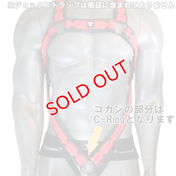 画像14: Maskulo【マスクロ】Armored Next C-Ring ハーネス (14)