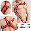 画像16: Maskulo【マスクロ】Armored Next C-Ring ハーネス (16)