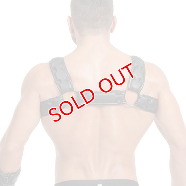 画像13: Maskulo【マスクロ】Cリングハーネス メンズ ボンテージ Gogo 衣装 Maskulo マスクロ ARMORED ブルドッグハーネス (13)