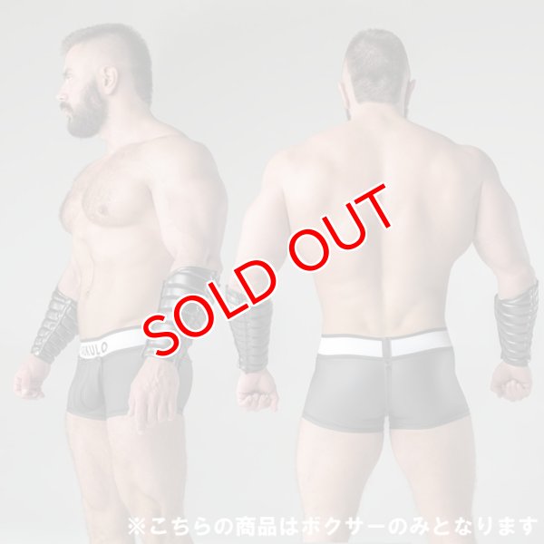 画像3: Maskulo【マスクロ】メンズボクサーパンツ ジッパー仕様 Armored (3)