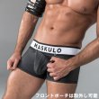 画像9: Maskulo【マスクロ】メンズボクサーパンツ ジッパー仕様 Armored (9)