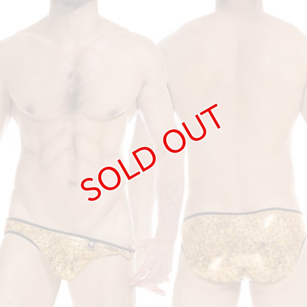 画像2: 【ロームアンヴィジーブル】Artem ビキニブリーフ (2)