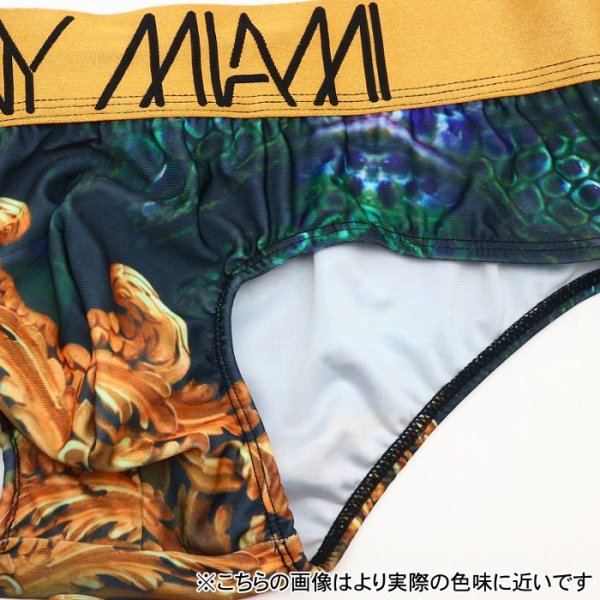 画像8: 【ダニーマイアミ】Regal Habitat ビキニブリーフ (8)