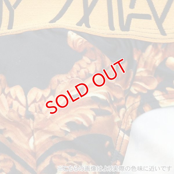 画像10: 【ダニーマイアミ】Royal Black ビキニブリーフ (10)