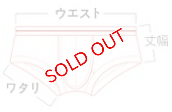 画像9: 【アジアンバム】ローライズボクサーパンツ (9)