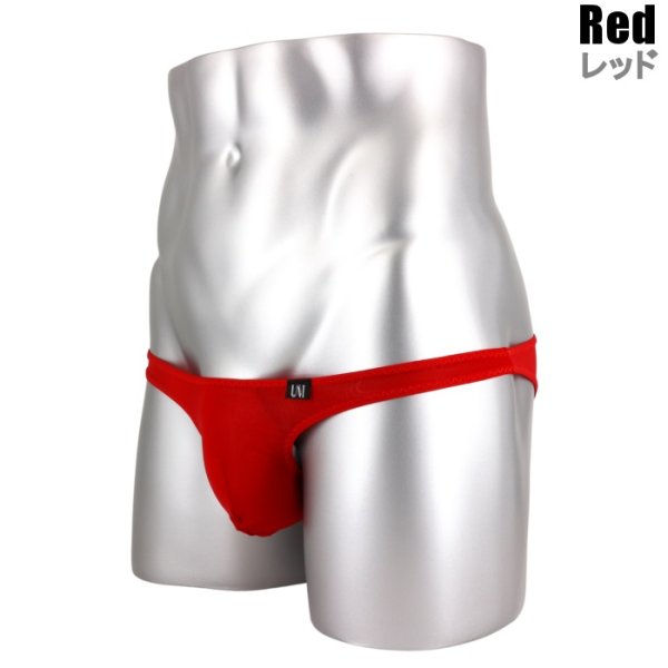 画像13: U.M. メッシュ シースルー生地 メンズビキニ Under Moon/アンダームーン ウルトラローライズ ギャザー 極小ビキニ (13)