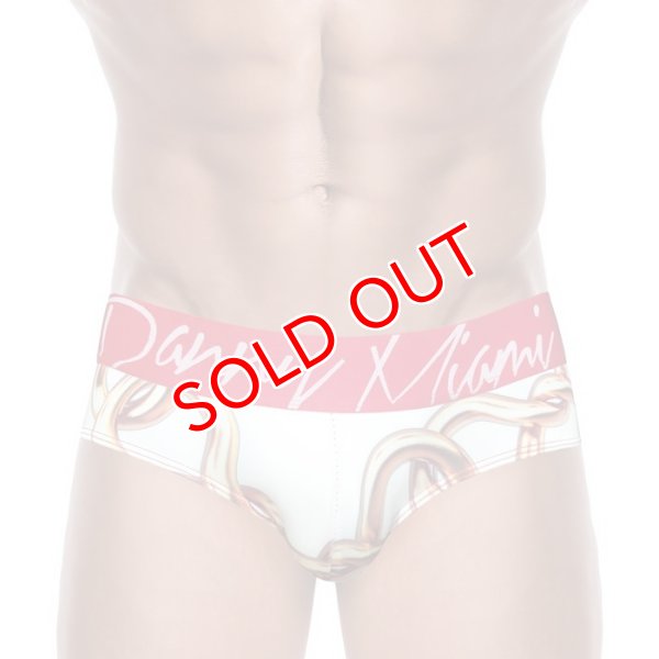 画像5: 【ダニーマイアミ】White Links ビキニブリーフ (5)