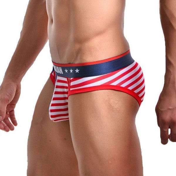 画像3: 【ウォーシャン】メンズUSA アメリカ国旗 ビキニブリーフ (3)