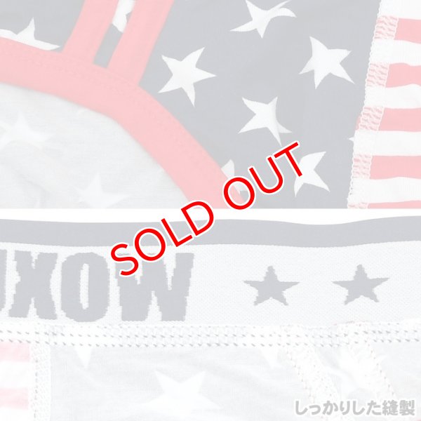 画像8: 【ウォーシャン】メンズUSA アメリカ国旗 ビキニブリーフ (8)