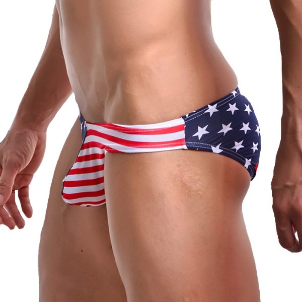 画像3: 【ウォーシャン】メンズUSA アメリカ国旗 ビキニ (3)