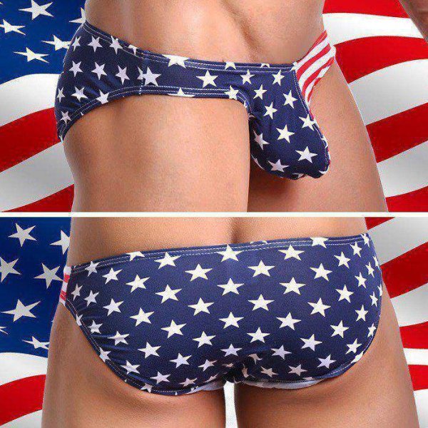 画像6: 【ウォーシャン】メンズUSA アメリカ国旗 ビキニ (6)