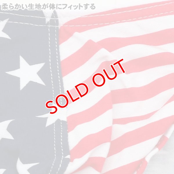 画像7: 【ウォーシャン】メンズUSA アメリカ国旗 ビキニ (7)