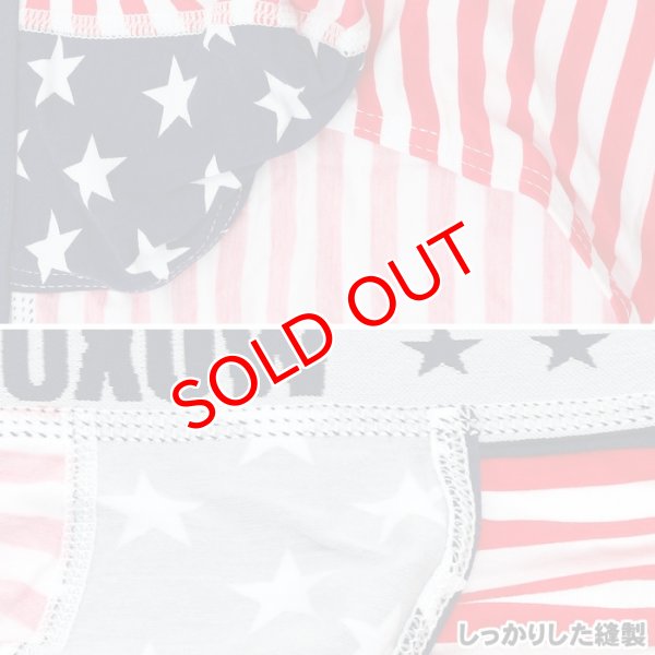 画像8: 【ウォーシャン】メンズビキニ USA アメリカ国旗スポーツブリーフ (8)